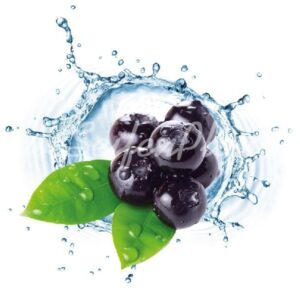 Seifenduft-Öl Blue Berry
