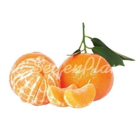 Ätherisches Öl Mandarinenoel