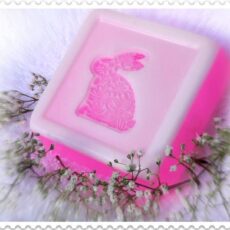 Seife mit Stempel Titel_1