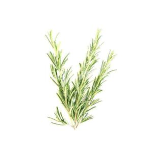 Rosmarinöl 10 ml