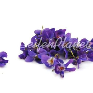 Parfümöl Veilchen 10 ml