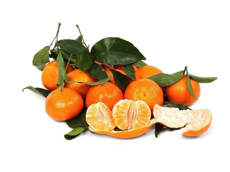Duftoel Mandarine » 4,79 € » SeifenPlanet-Onlineshop