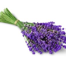 Seifenduft Lavendel